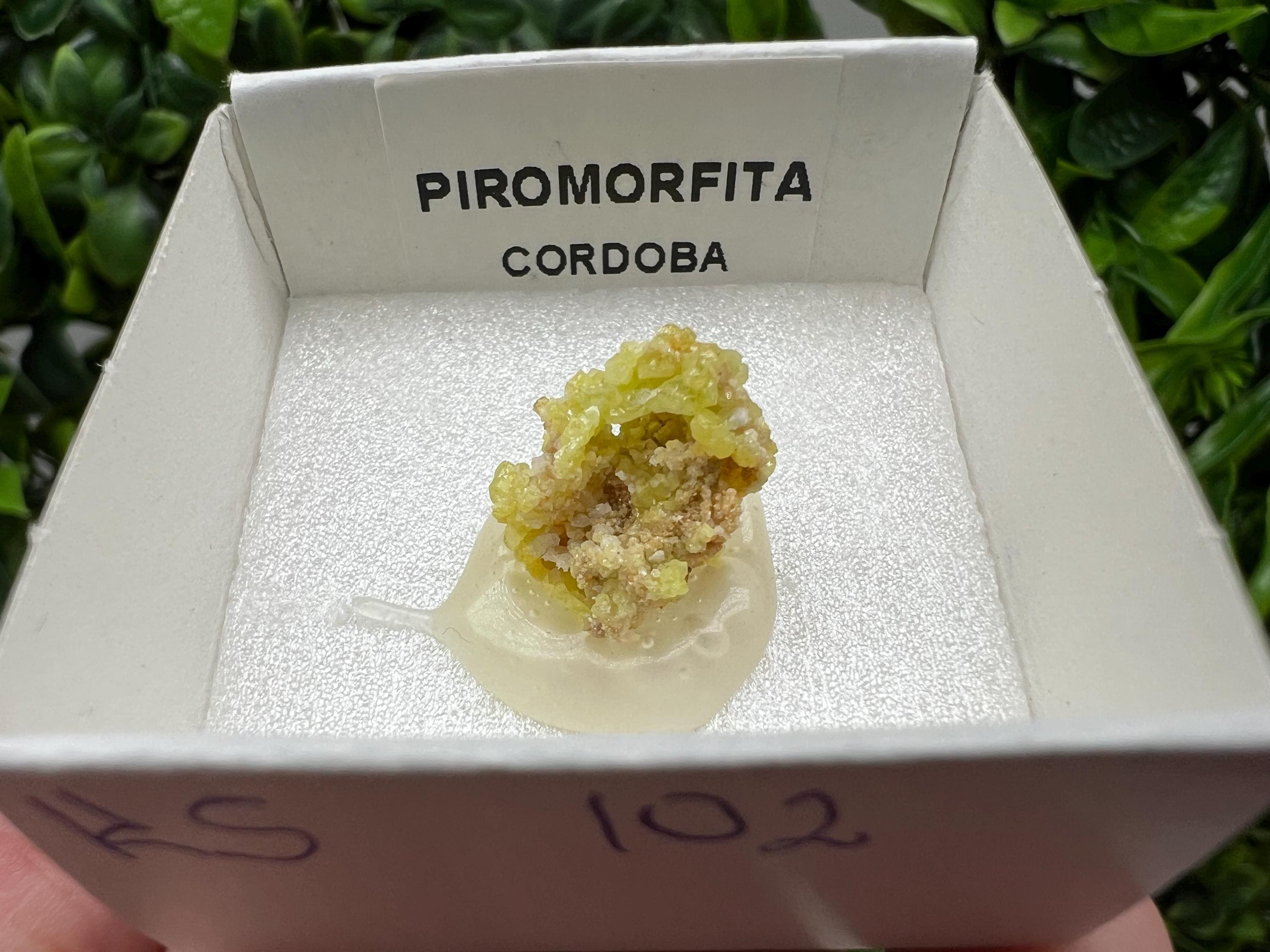 Pyromorphite Stone / Pyromorphite on Matrix / Pyromorphite Crystal / Raw Crystal / Pyromorphite Cluster / Rough Pyromorphite / Pyromorphite
