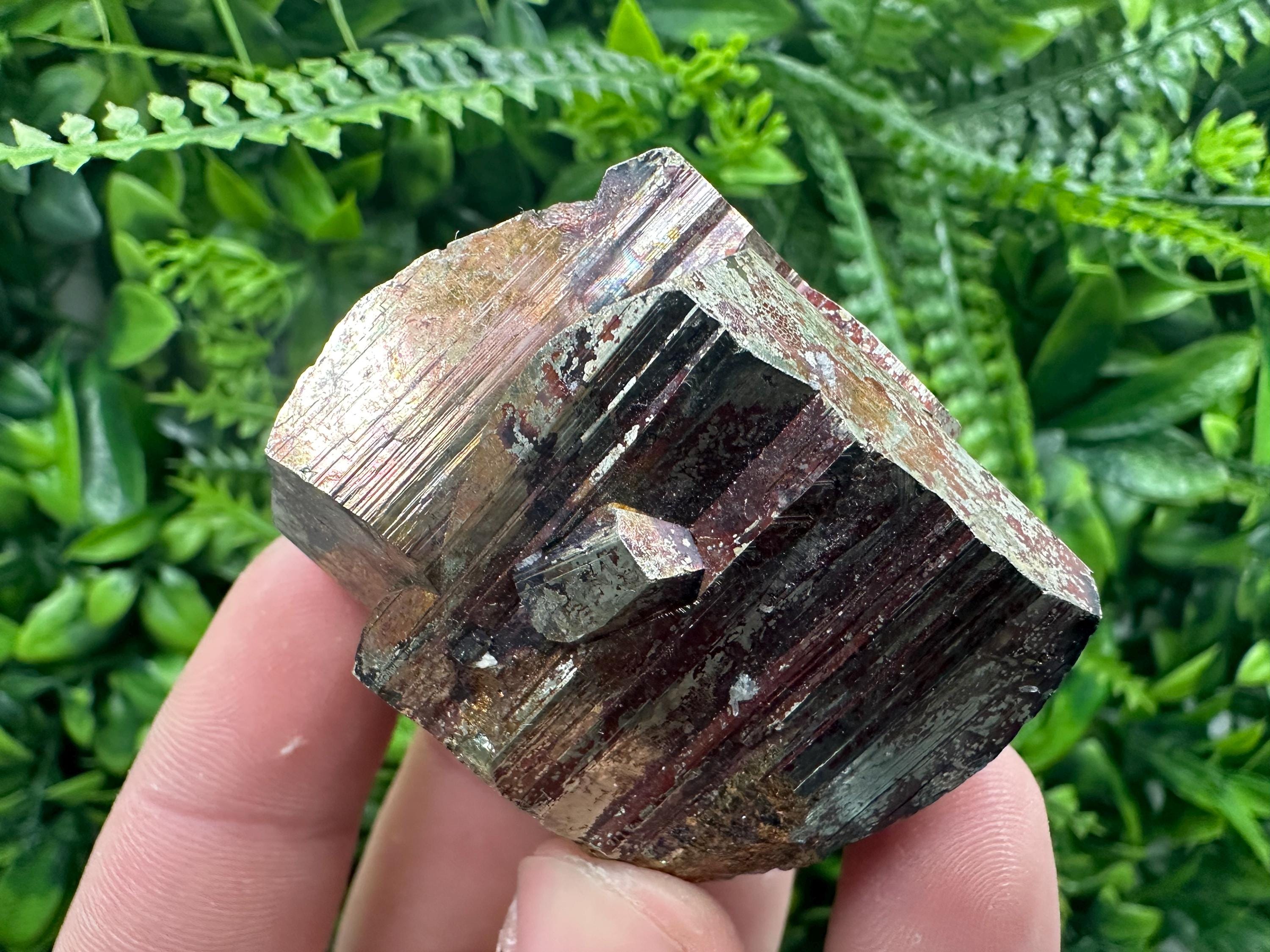 Pyrite with Hematite Mineral Specimen: Bulgaria Crystal Decor (5.5cm)