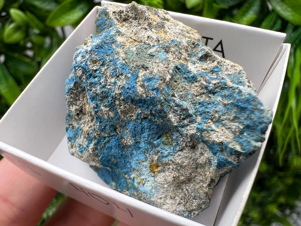 Rare Raw Aerinite Mineral Specimen: Lleida, Spain Crystal (4/3.5cm