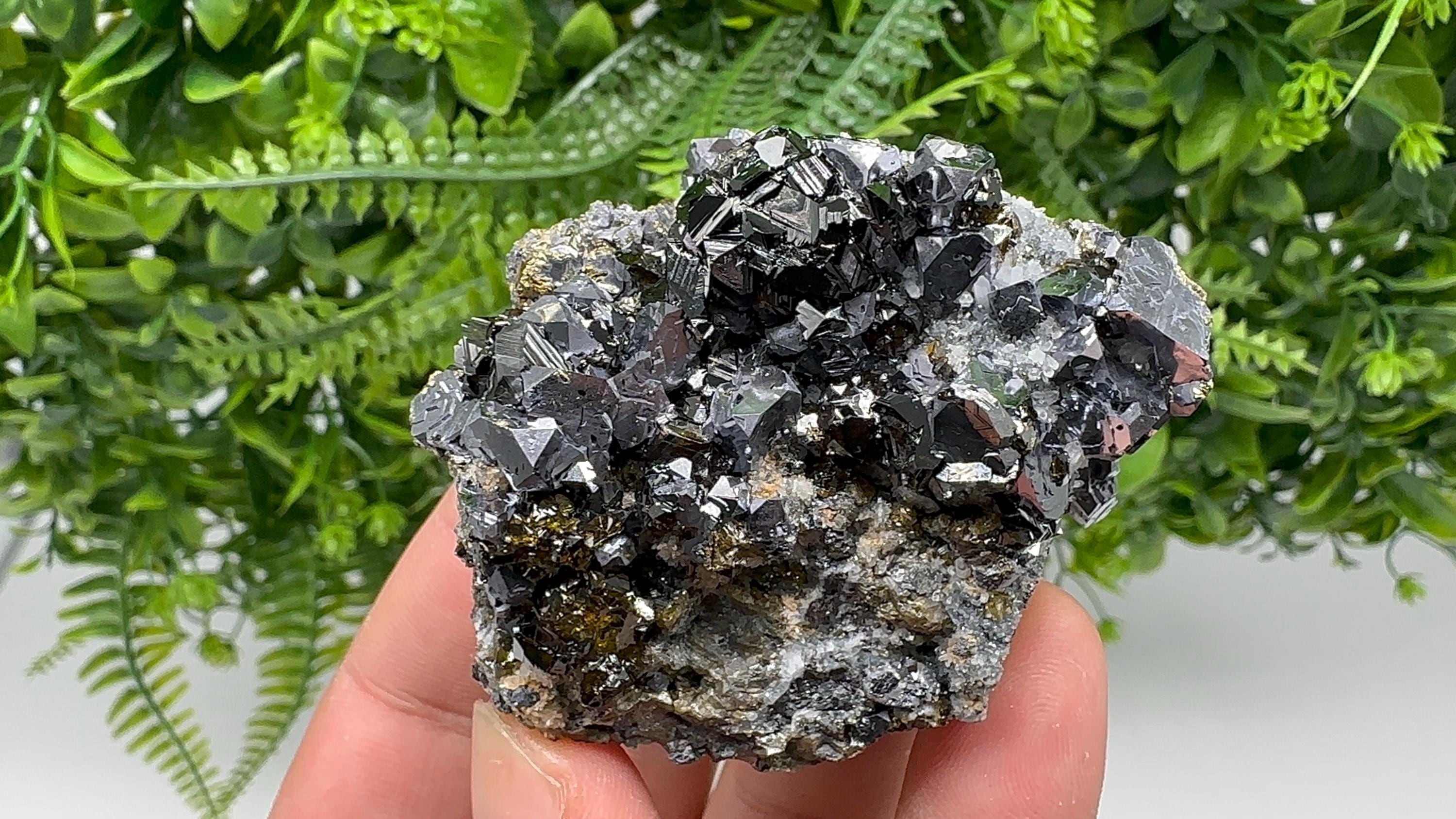 Mirror Galena with Cleiopfane on Chalcedony, Krushev dol Mine, Bulgaria