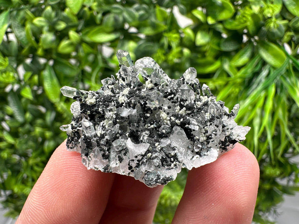 Chlorite Quartz Mineral Specimen, Borieva Mine, Bulgaria