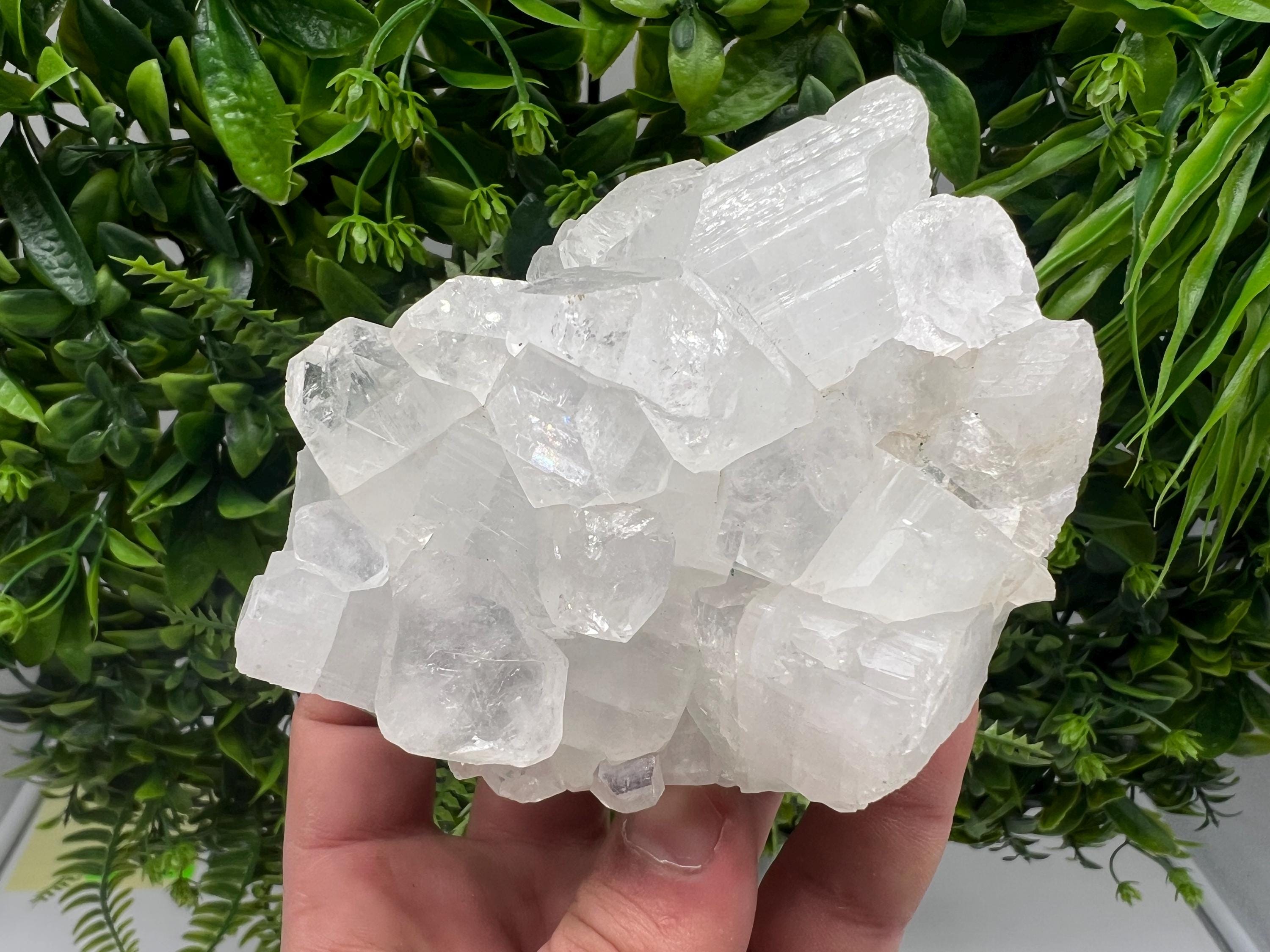 Apophyllite on Chalcedony Specimen: Transparent Crystal, India Minerals