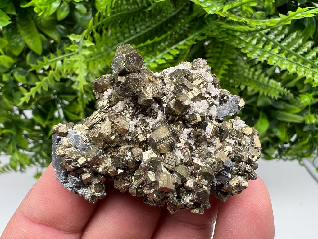 Rare Pyrite Cluster: Golden Rainbow Crystallization, Borieva Mine
