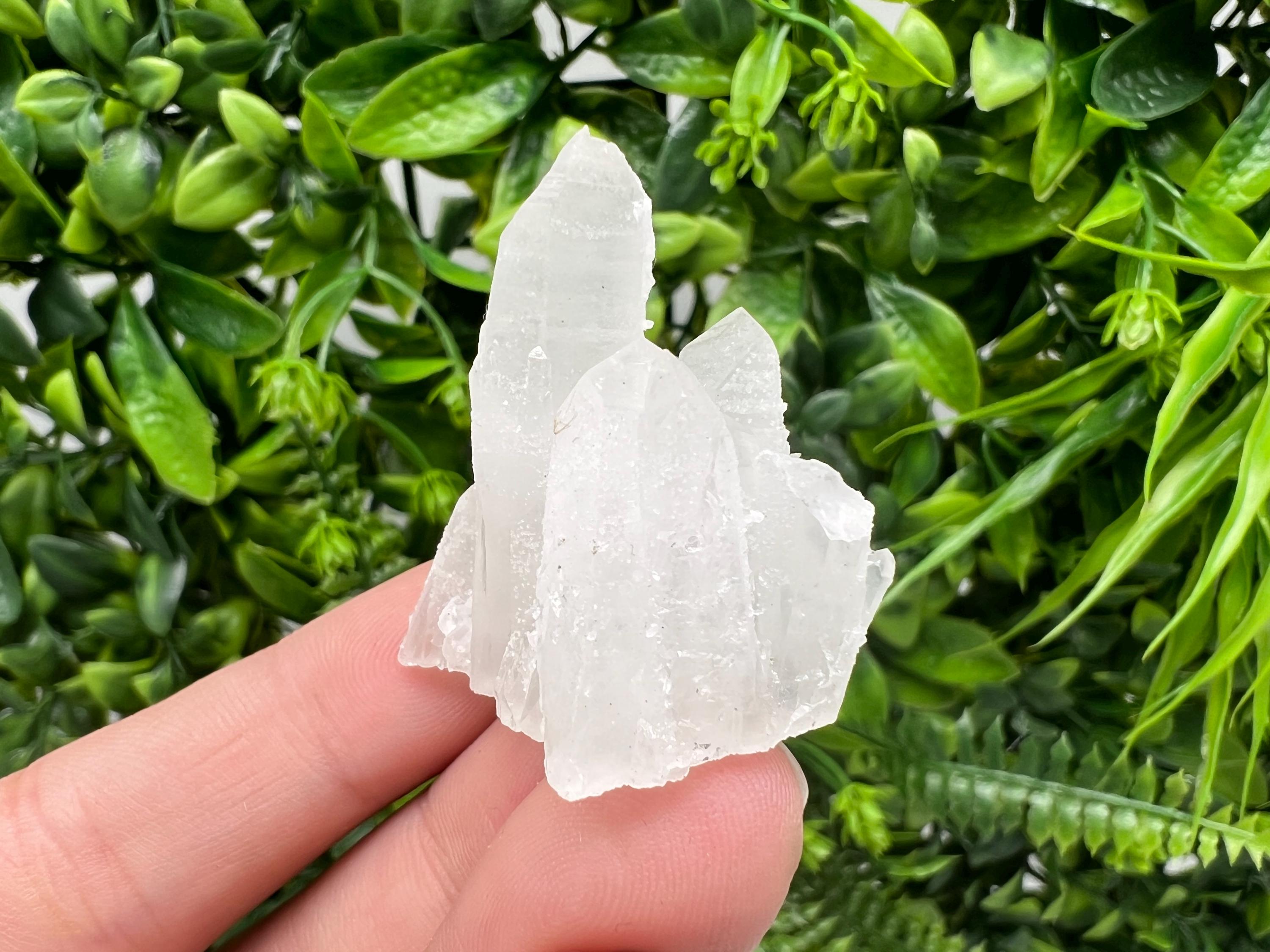Transparent Quartz on Chlorite Matrix, Borieva Mine, Bulgaria