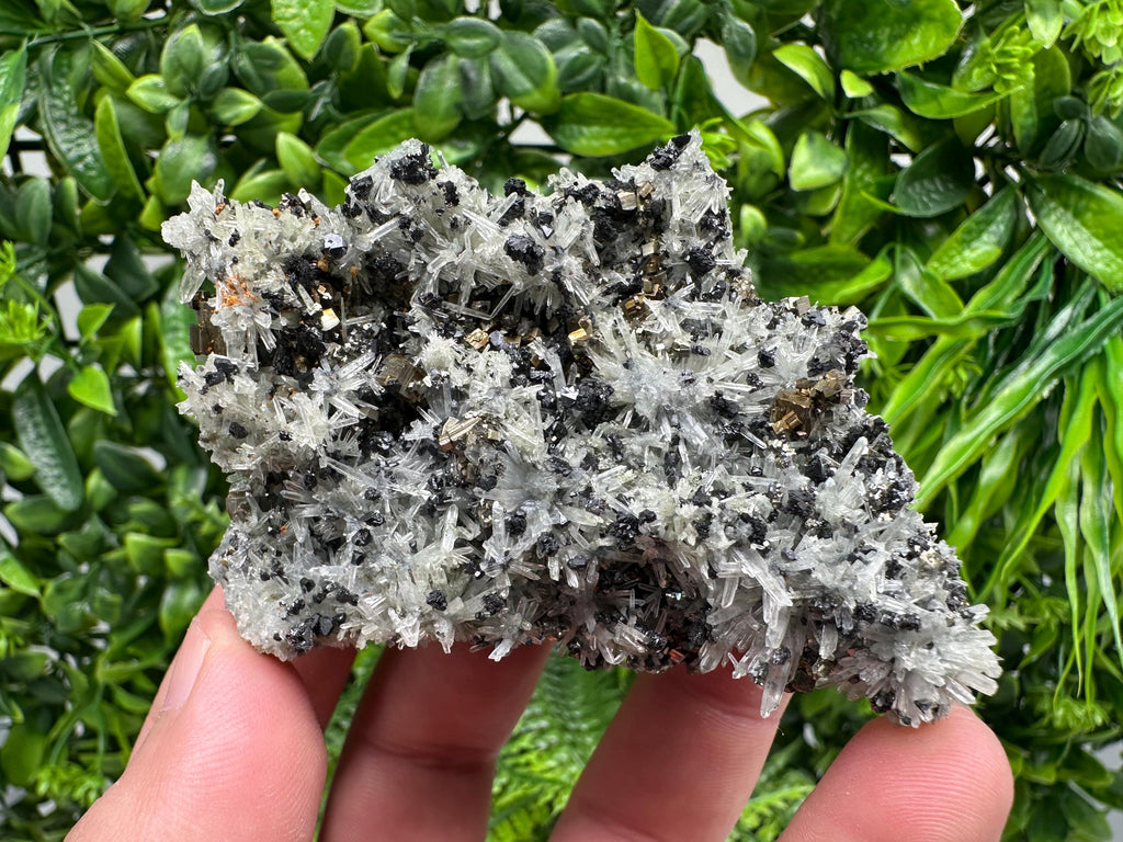 Pyrite on Needle Quartz, Madan Bulgaria, Mineral Specimen