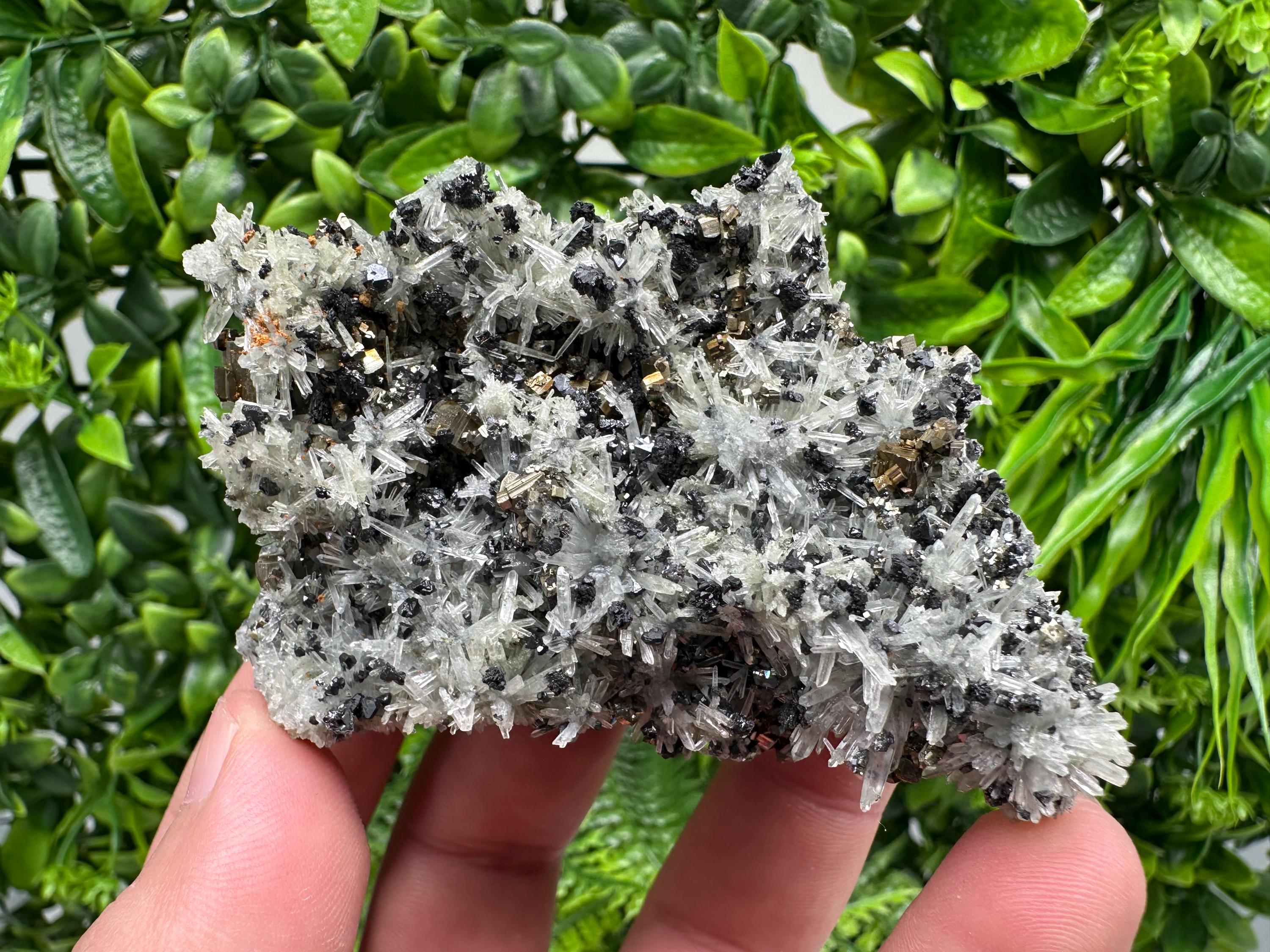 Pyrite on Needle Quartz, Madan Bulgaria, Mineral Specimen