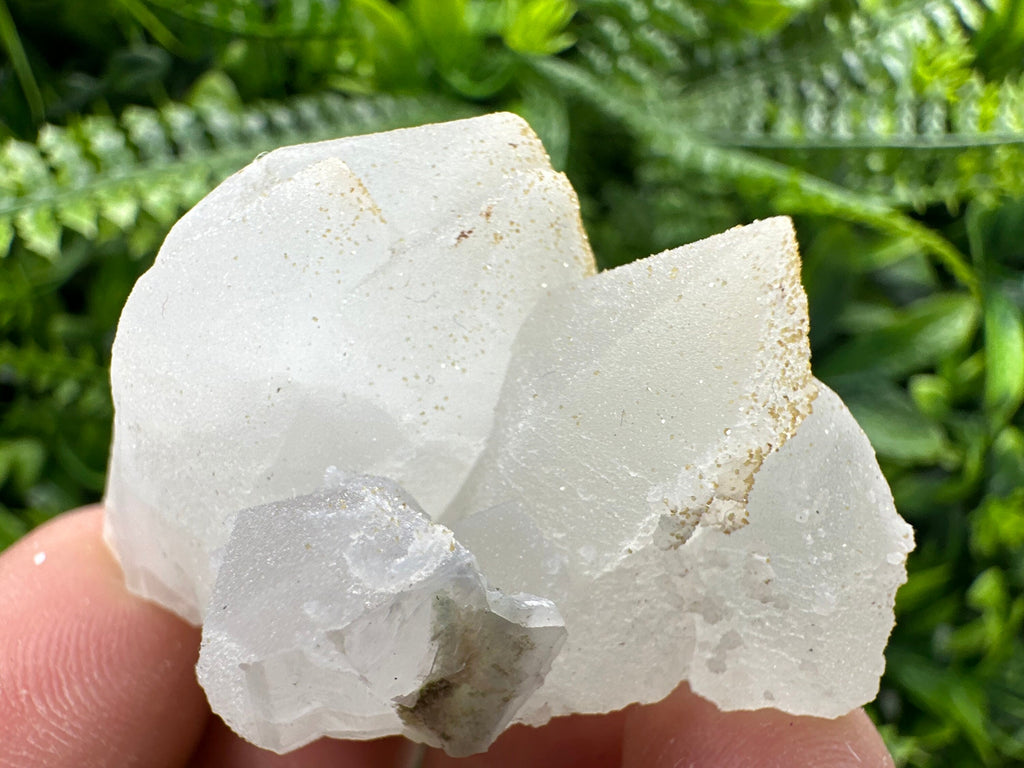 Quartz Rhodochrosite Cluster, Djurcovo Bulgaria Mineral Specimen