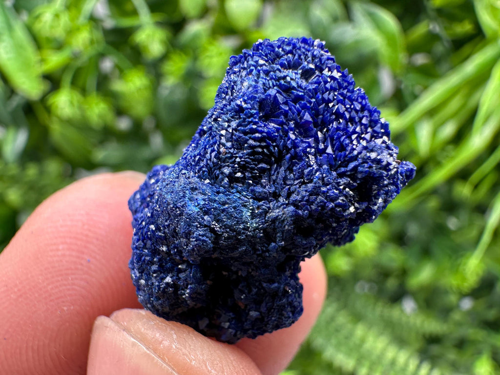 Crystallized Azurite-Kerrouchen,Morocco-Blue Azurite Specimen-High Quality Blue Azurite-Azurite Mineral Specimen, gemmy,lustrous of Azurite