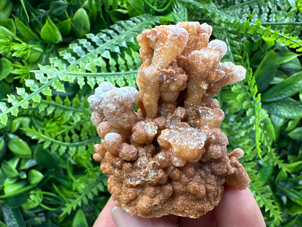 Dimitrovgrad Aragonite Cluster, Bulgaria Crystal Mineral Specimen