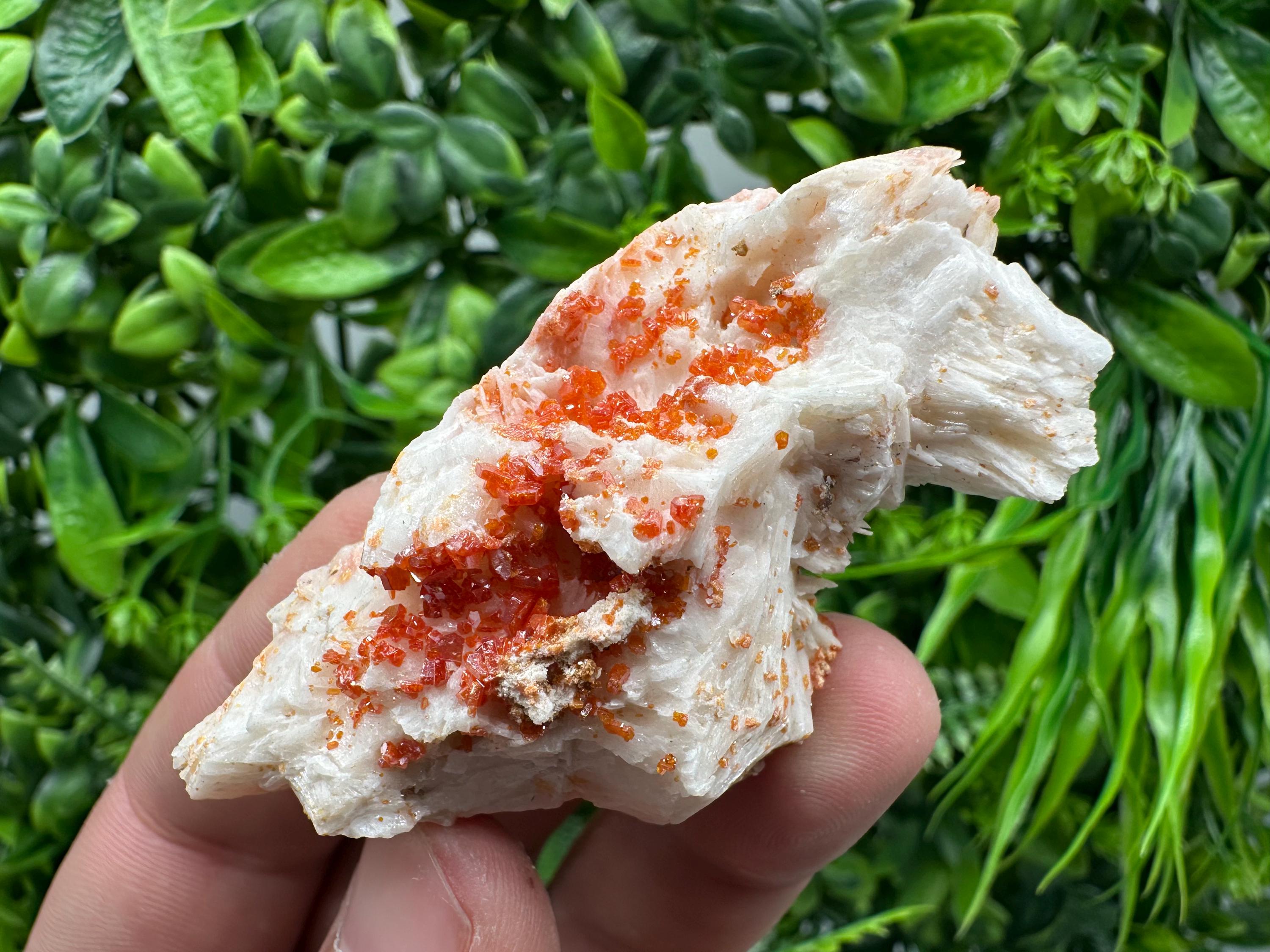 Red Vanadinite on Barite, Moroccan Crystal Mineral Specimen
