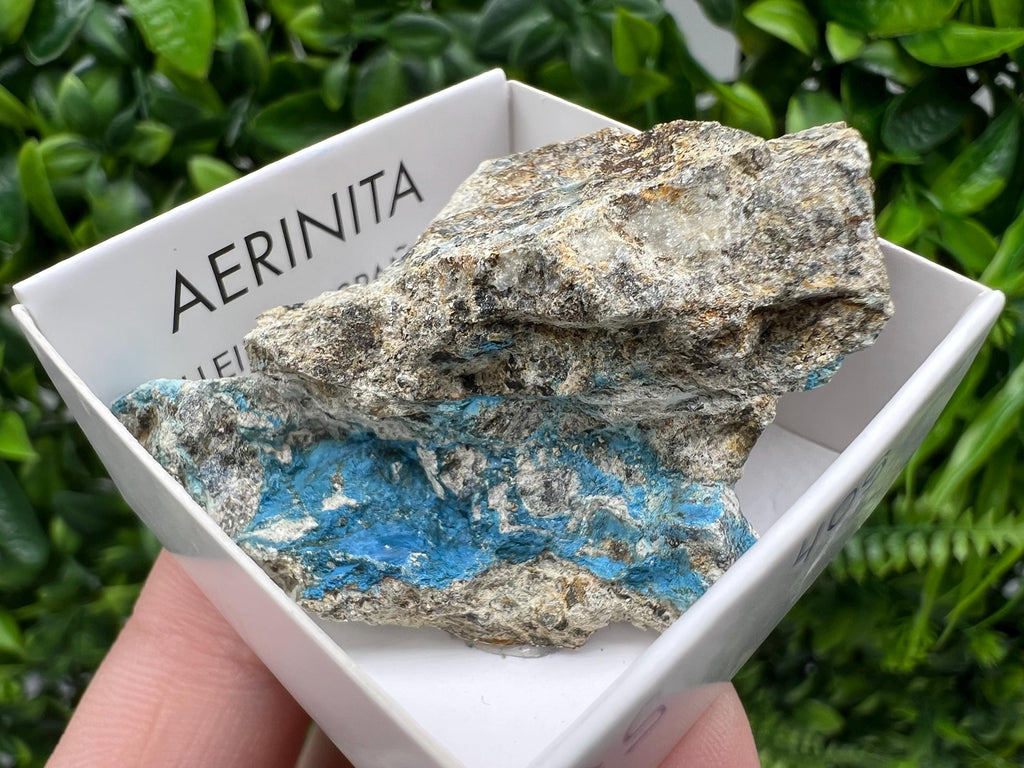 Rare Raw Aerinite Mineral Specimen: Collection Crystal from Lleida, Spain (5/3 cm