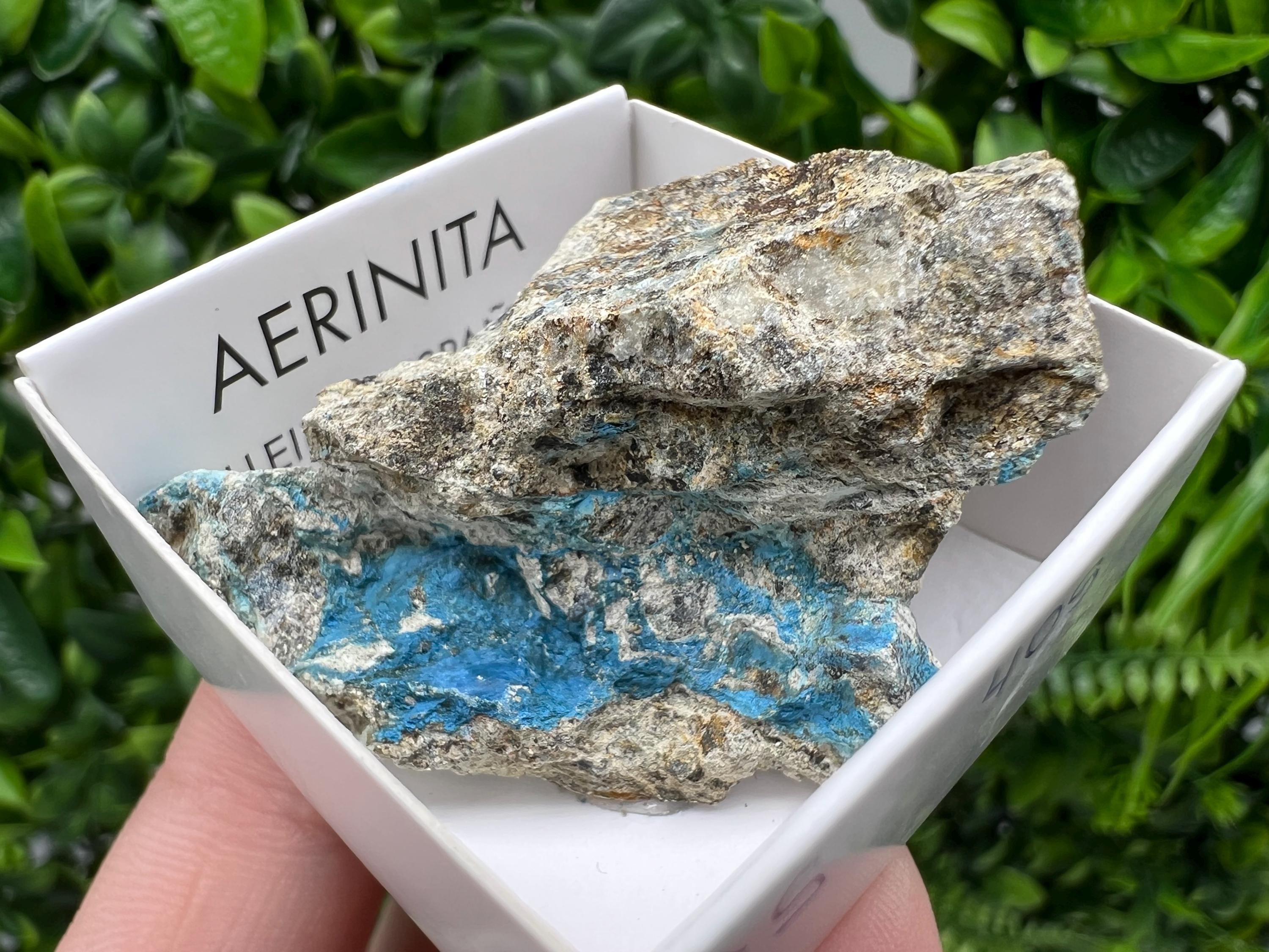Rare Raw Aerinite Mineral Specimen: Collection Crystal from Lleida, Spain (5/3 cm