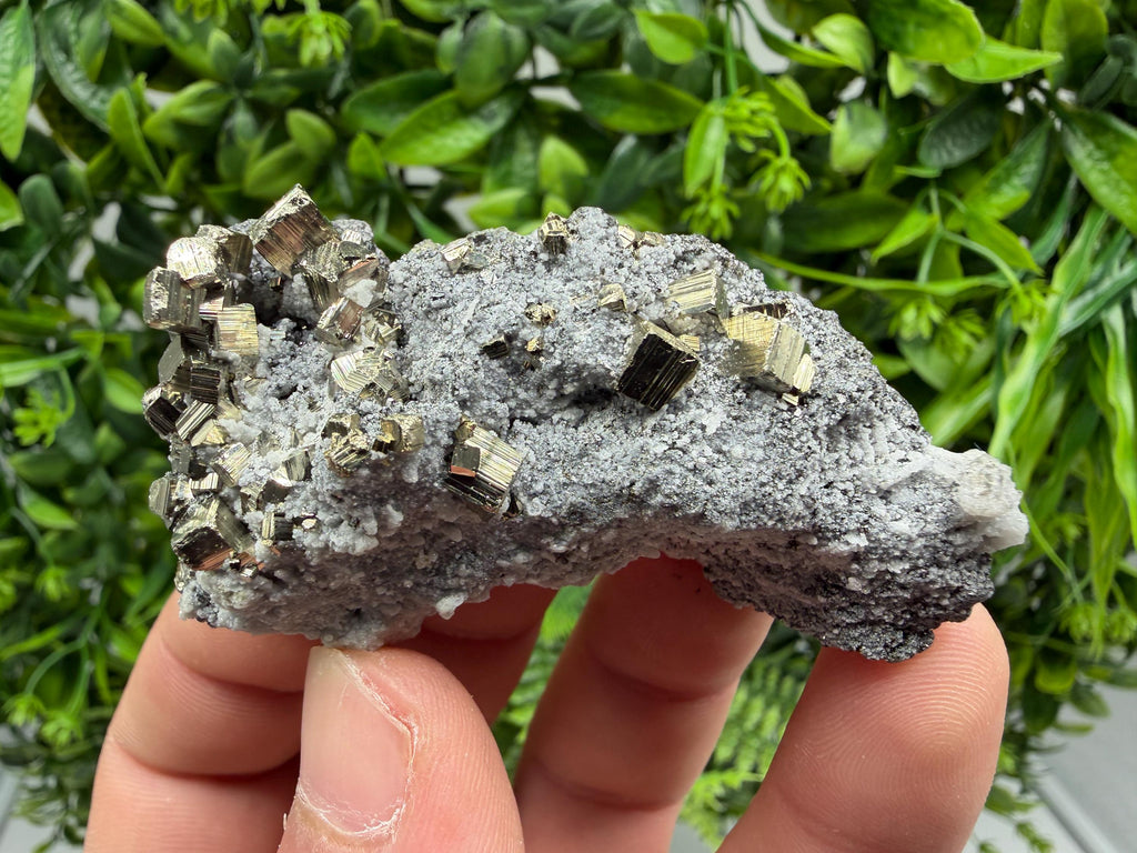Pyrite Sphalerite Quartz  Mineral Specimen, Krushev dol Mine