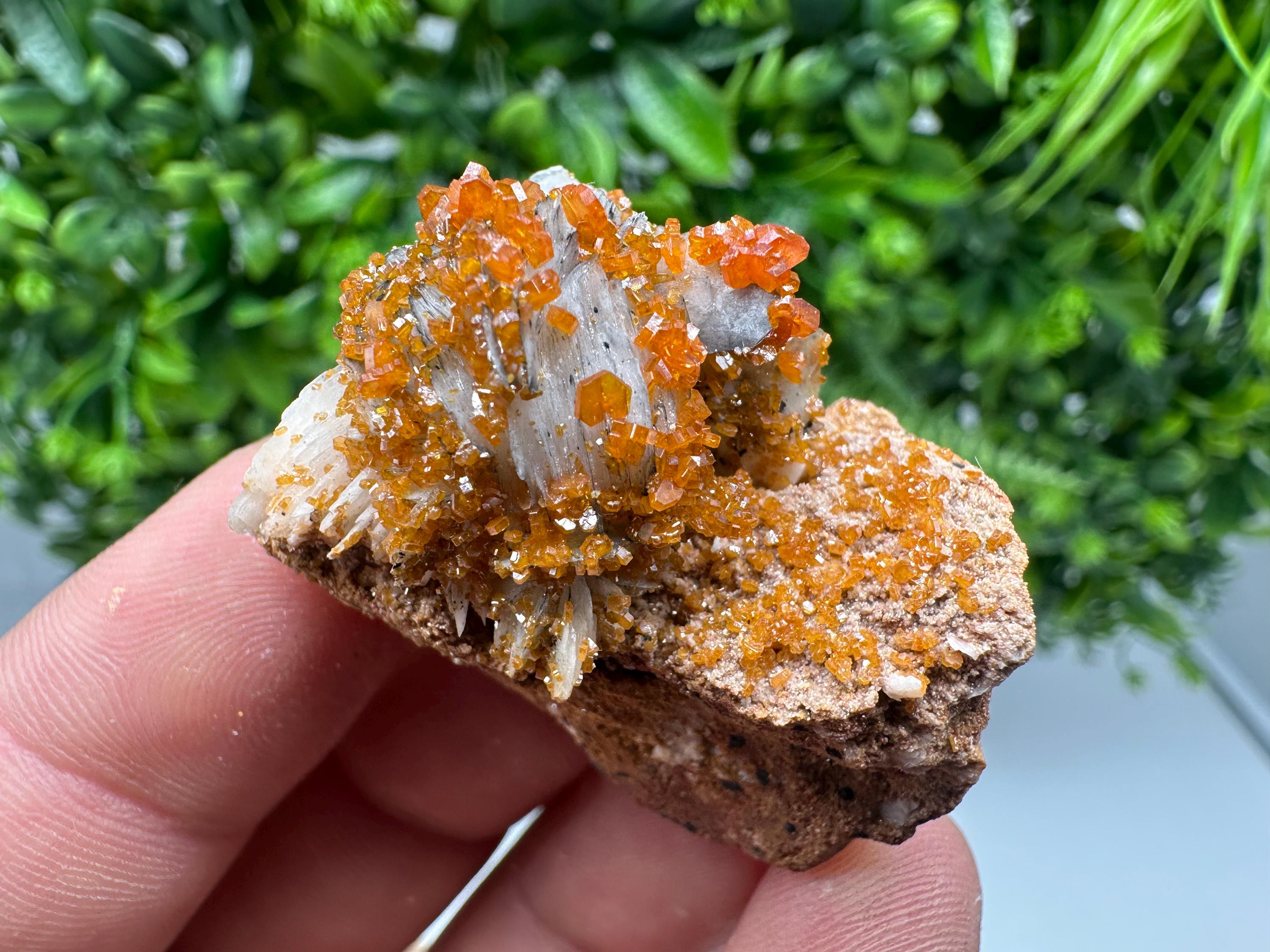 Red Vanadinite on Barite from Marocco,crystal minerals Speciment cluster Vanadinite crystal Vanadinite Geology Vanadinite cluster minerals