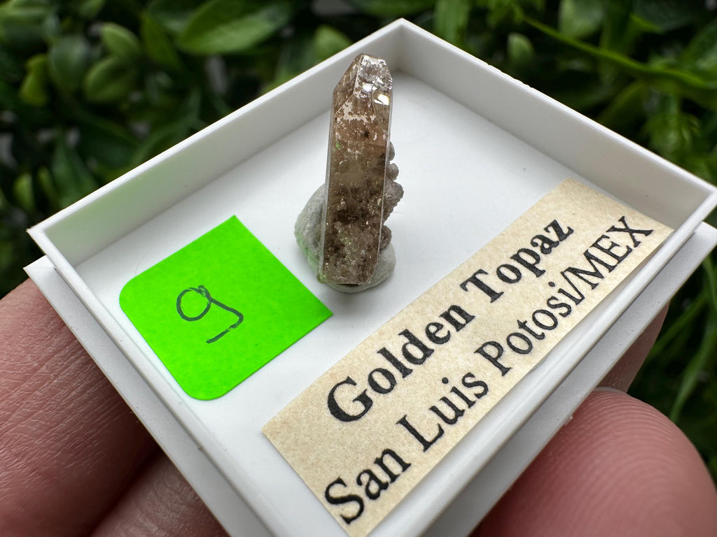 Golden Topaz Crystal, Mineral Specimen from Mexico
