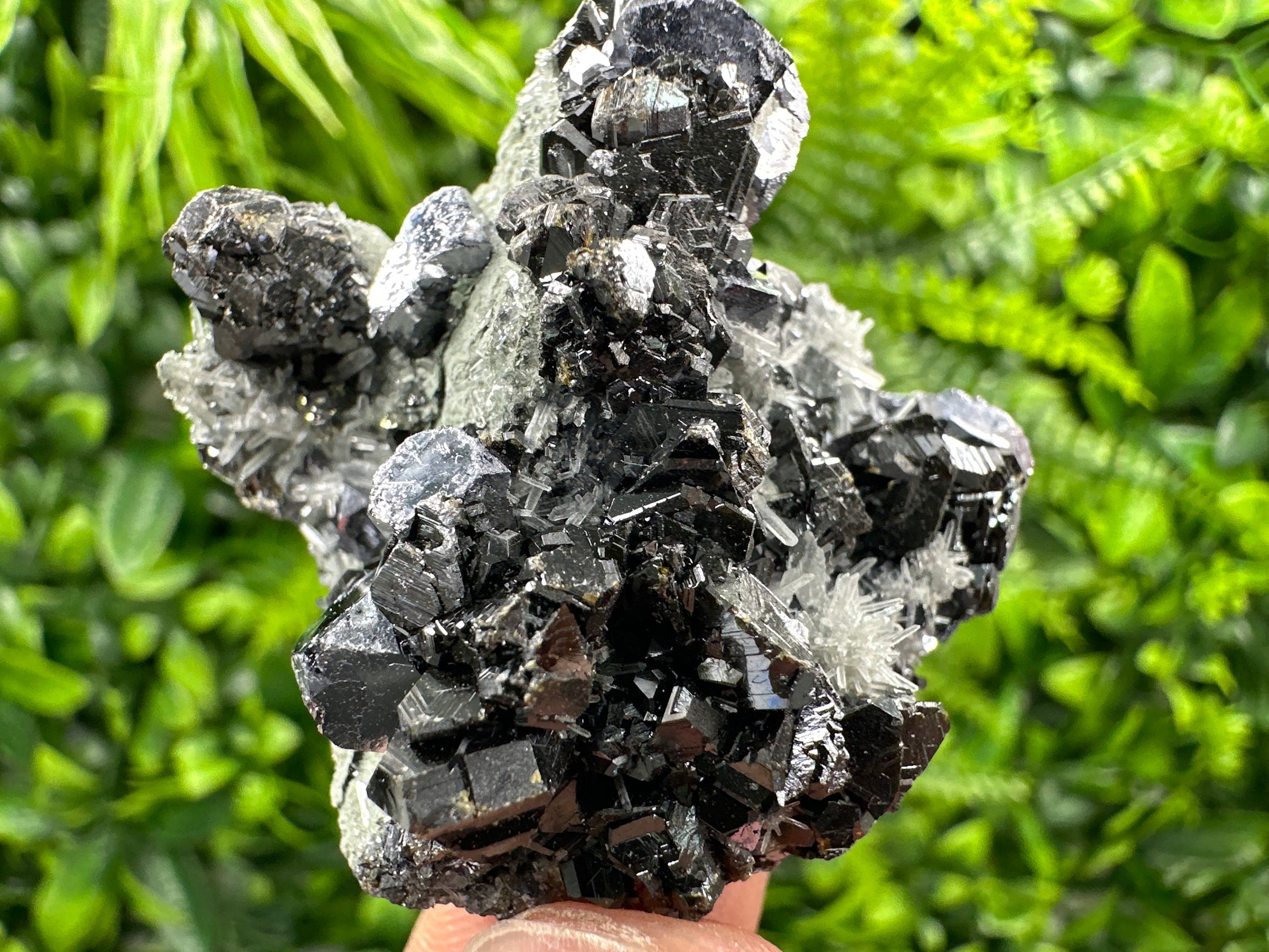 Galena Sphalerite on Needle Quartz: Borieva Mine Crystal, Bulgaria