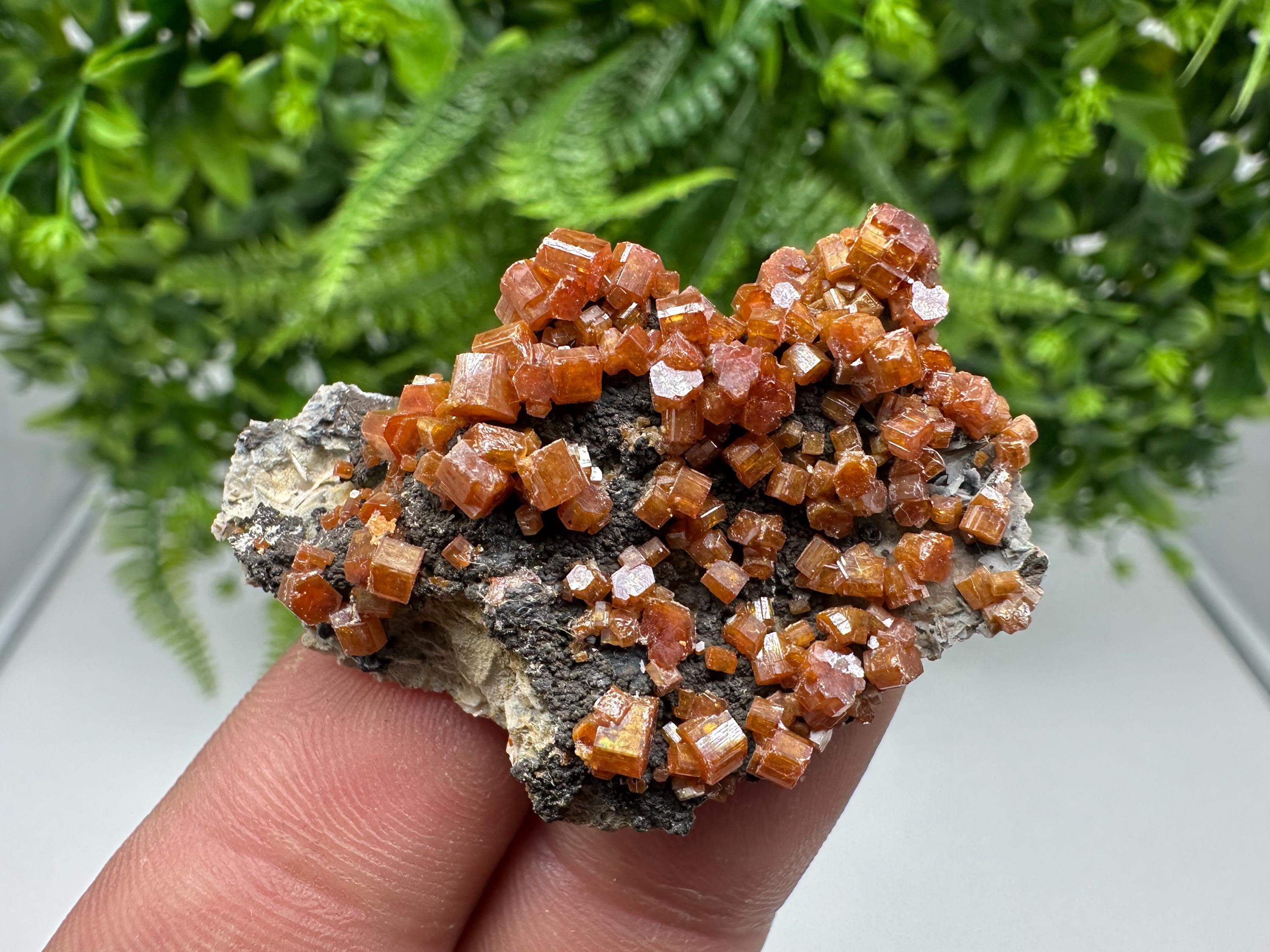 Red Vanadinite on Barite from Marocco,crystal minerals Speciment cluster Vanadinite crystal Vanadinite Geology Vanadinite cluster minerals