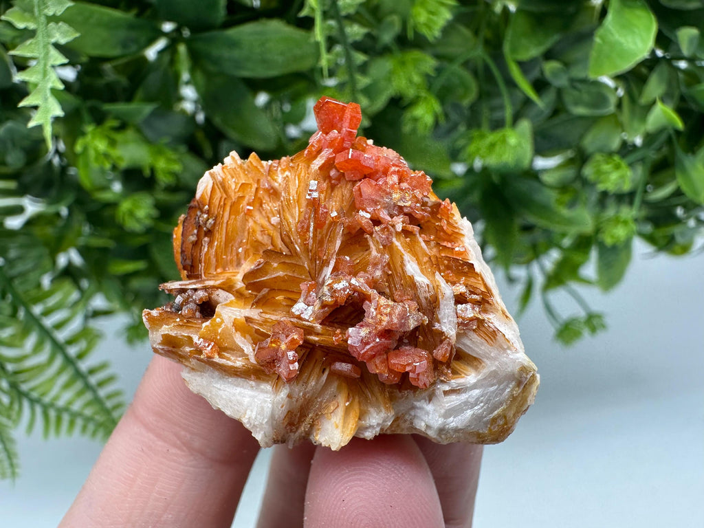 Red Vanadinite on Barite Crystal Specimen, Moroccan Mineral Cluster