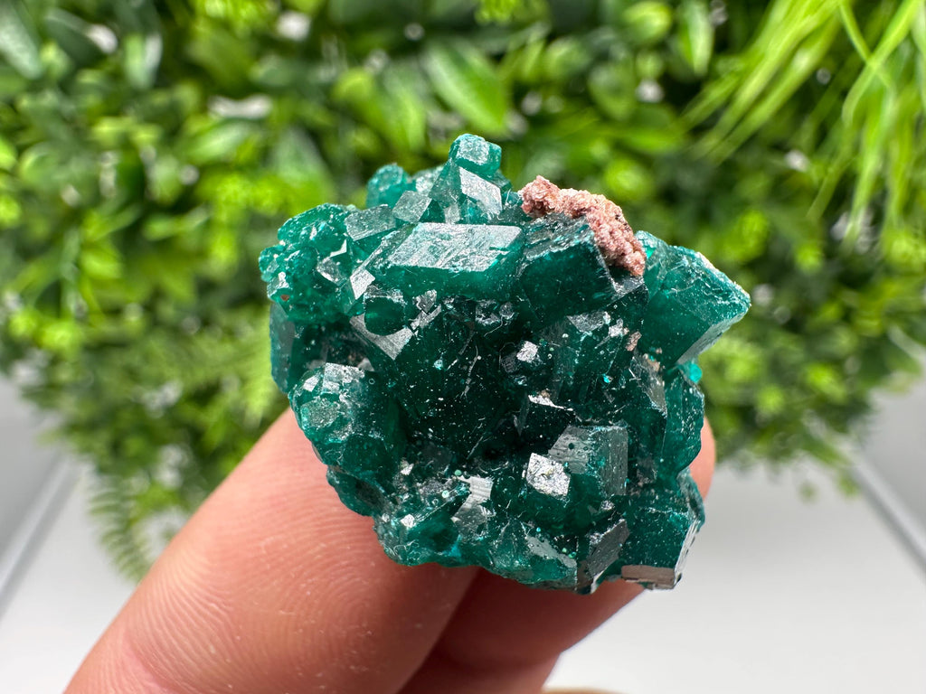 Stunning Green Dioptase from Sanda Hills,Mindouli,Pool Department,Mindouli District,Congo,green Dioptase,Dioptas Crystal,Dioptase collecting