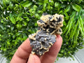 Skeletal Galena with Siderite and Sphalerite: Krushev dol Mine, Bulgaria