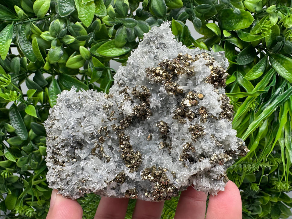 Pyrite on Needle Quartz, Borieva Mine, Bulgaria, Mineral Specimen