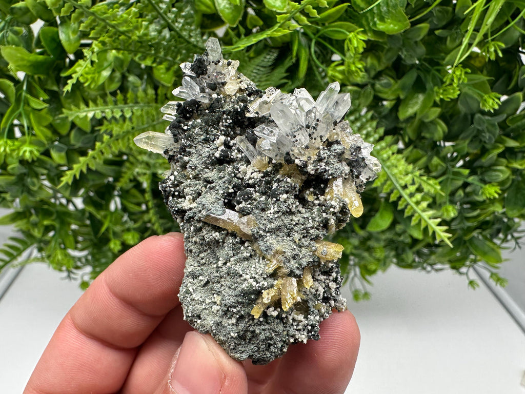 Chlorite Epidote Quartz Specimen: Borieva Mine, Bulgaria