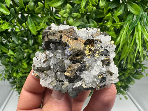 Chalcopyrite on Quartz, Chlorite Mineral Specimen, Djurcovo Mine, Bulgaria