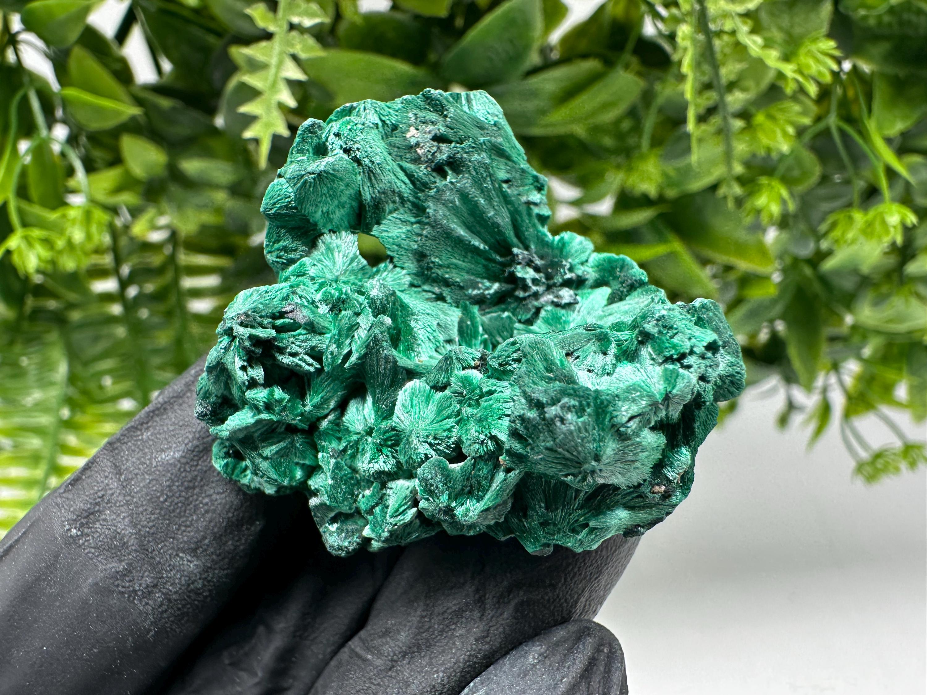 Malachite Crystal from Congo,Minerals,Crystals from Congo,Green Malachite, Malachite,Natural Malachite,Malachite Stone,Chakra, Specimens