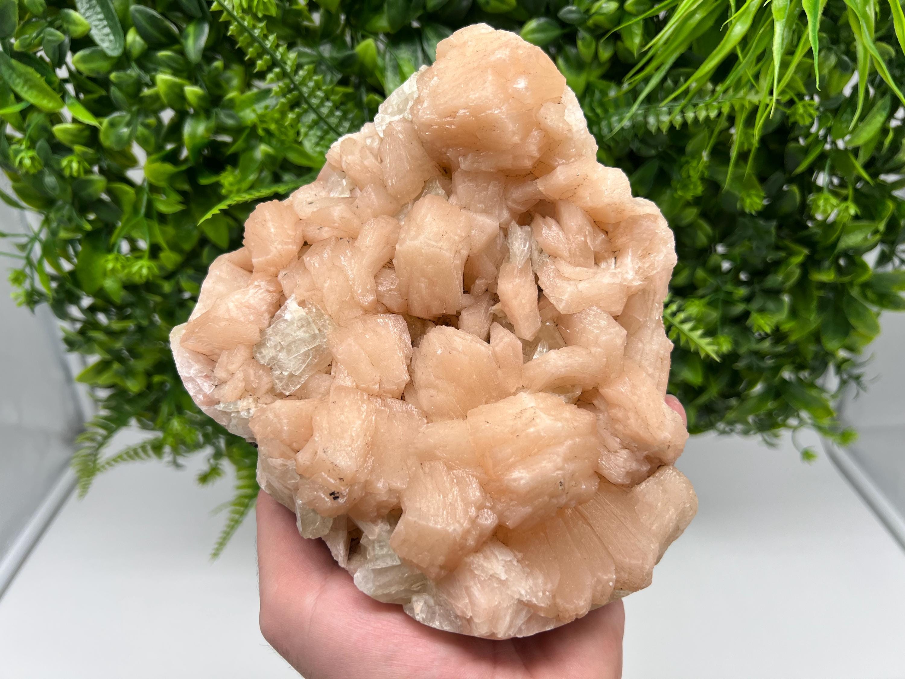 Apophyllite Stilbite on Chalcedony, India Crystal Specimen