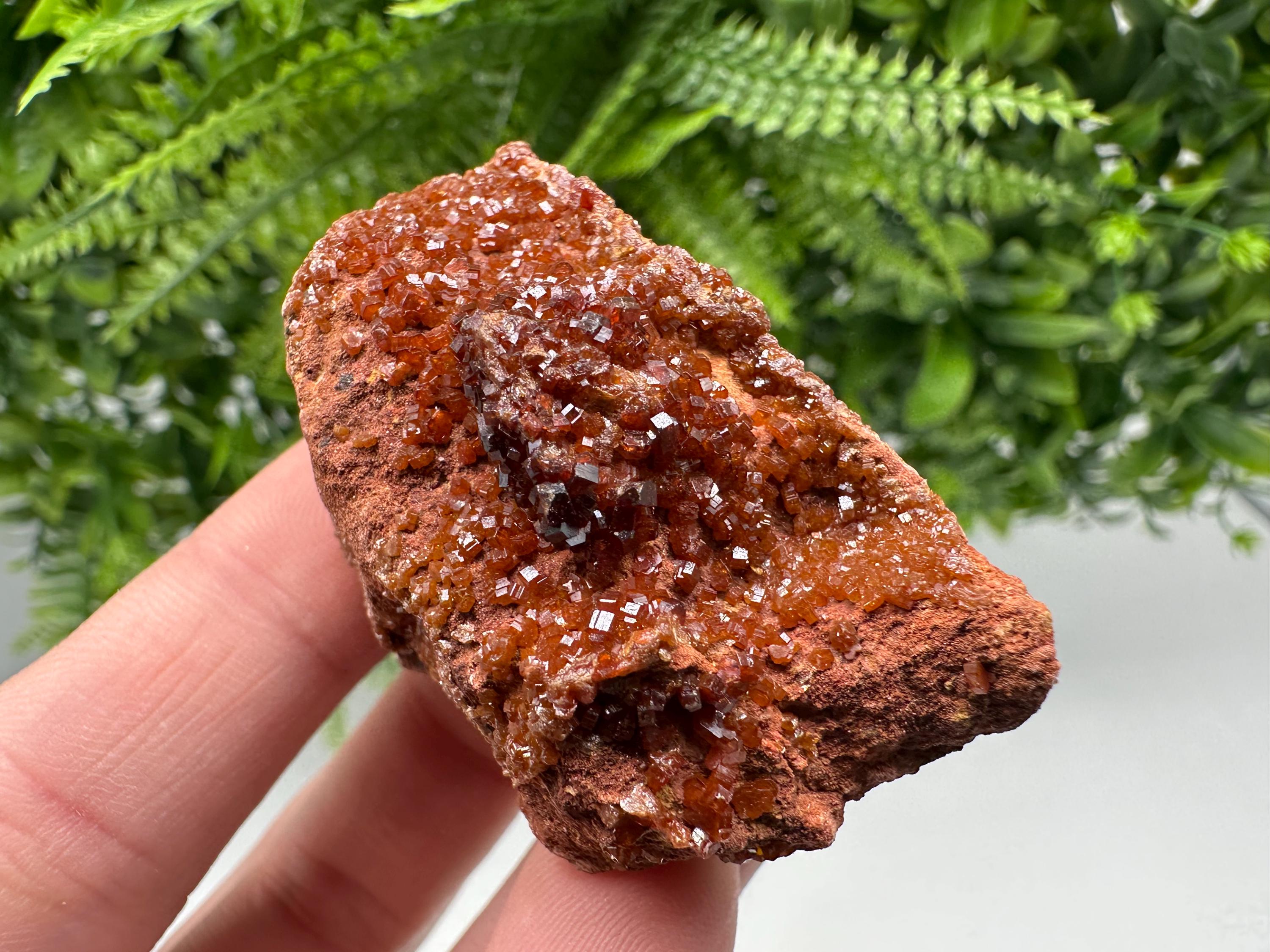 Red Vanadinite on Matrix from Marocco,crystal minerals Speciment cluster Vanadinite crystal Vanadinite Geology Vanadinite cluster minerals