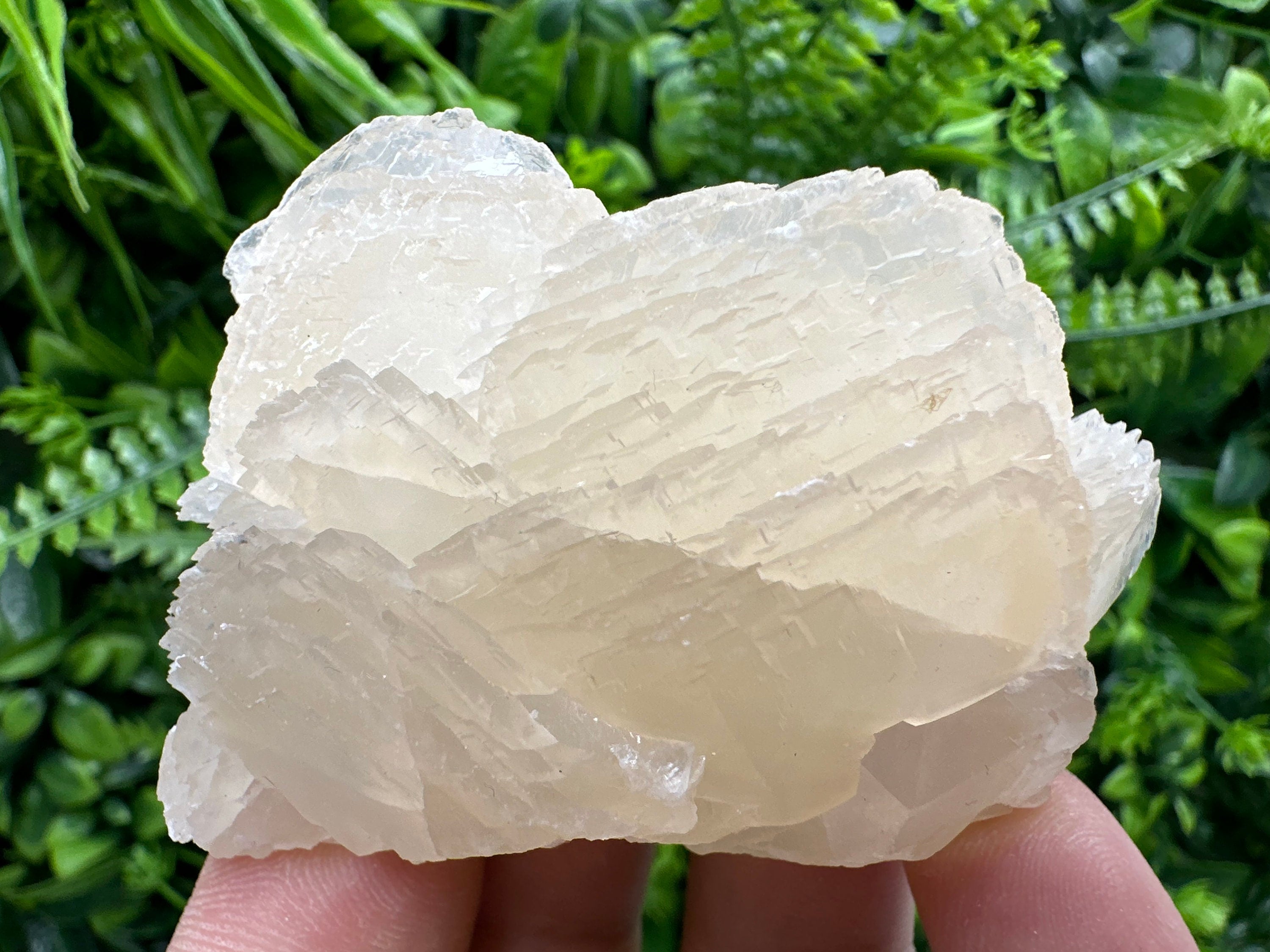 Mangano Calcite with Galena, Rare Mineral Specimen, Borieva Mine