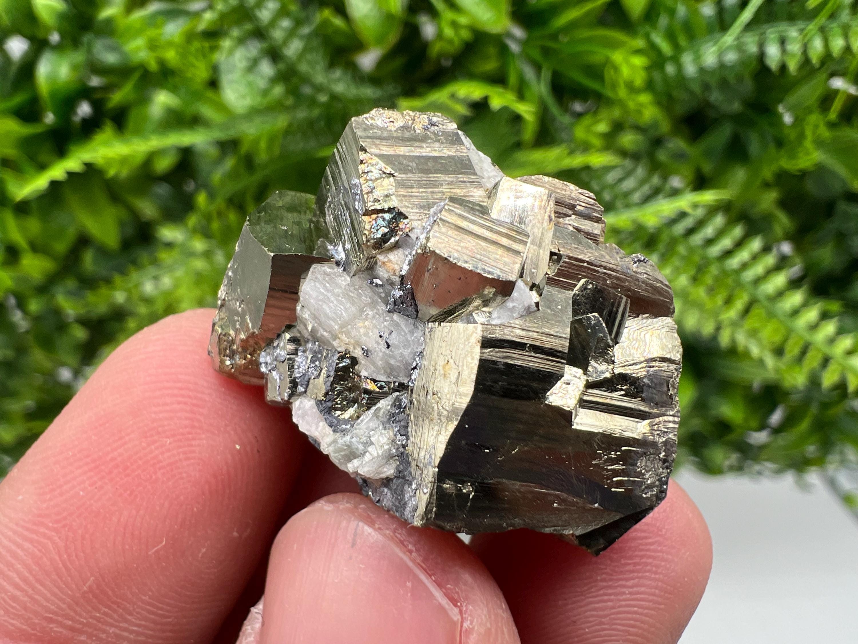 Mini Rainbow Pyrite Cluster: Borieva Mine, Bulgaria