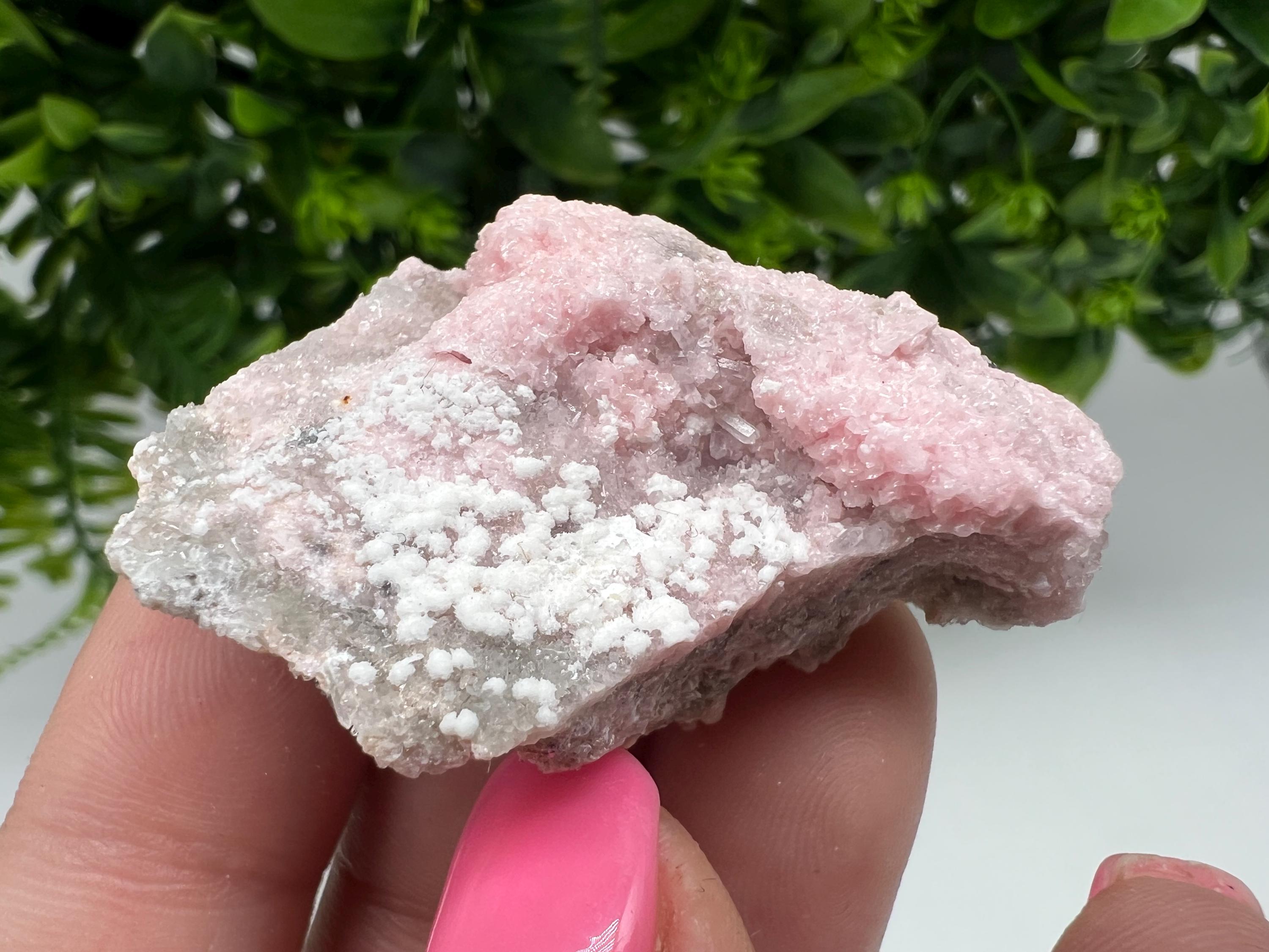 RARE Rhodochrosite with White Calcite, Starnica Mine, Bulgaria