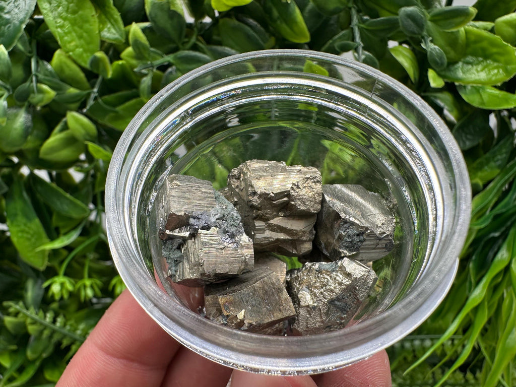 Golden Pyrite Cubes in Box: Collection Stone, Gift, Souvenir