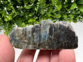 Polished Labradorite Slab: Multifire Crystal Decor - 7x3.3x2.5cm