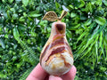 Handcrafted Marbled Onyx Pear Sculpture: Natural Stone Decor