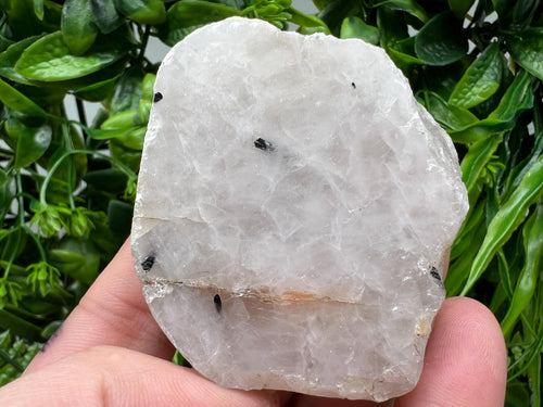 Black Tourmaline in Quartz Polished Slab