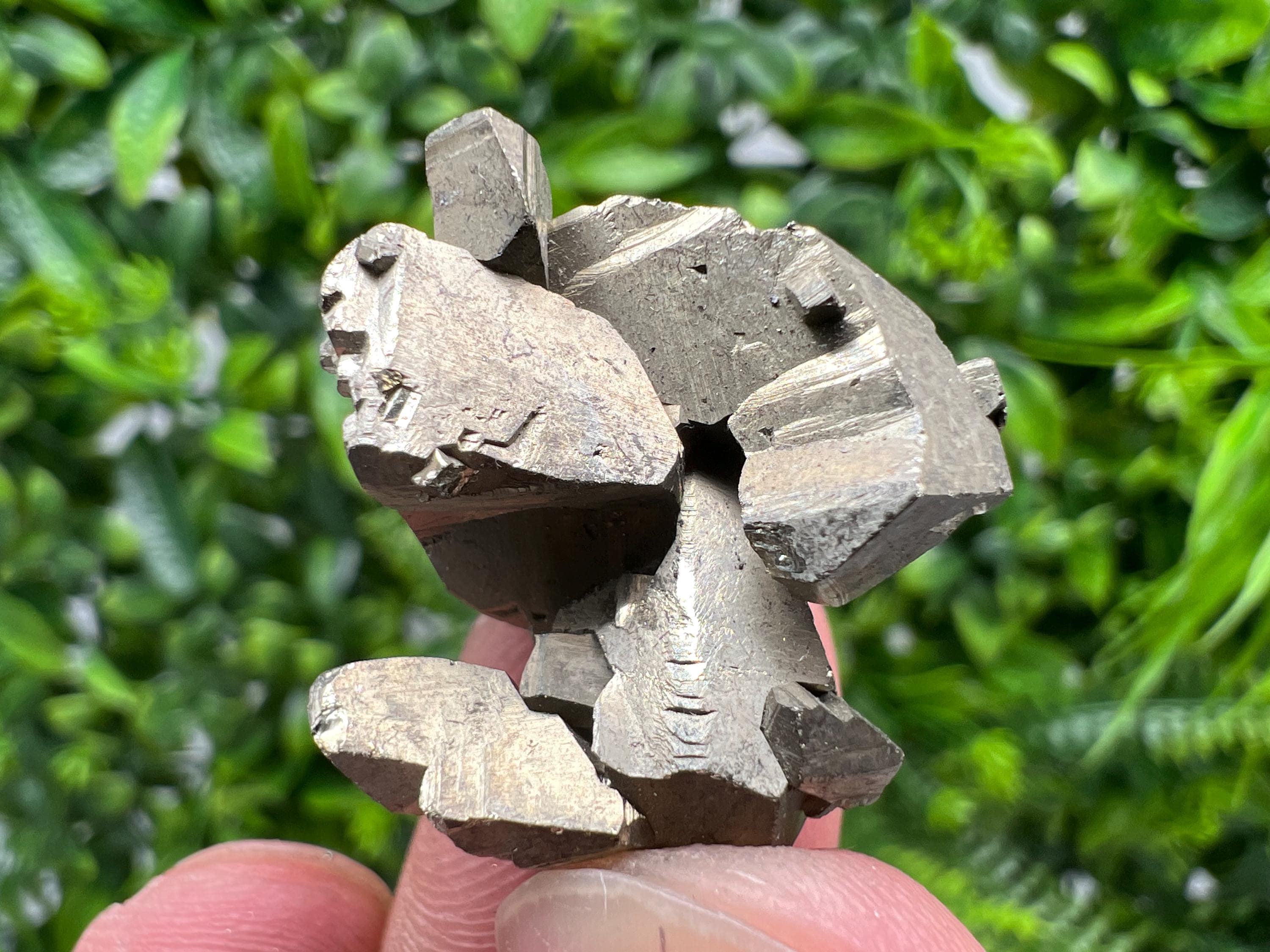 Rare Crystalline Pyrite Cluster, Borieva Mine, Bulgaria