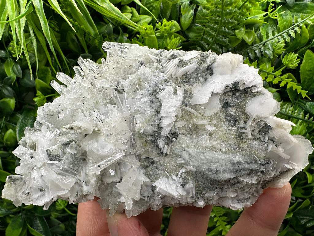 Galena with Pyrite, Quartz, and Calcite Crystal Cluster - Borieva Bulgaria