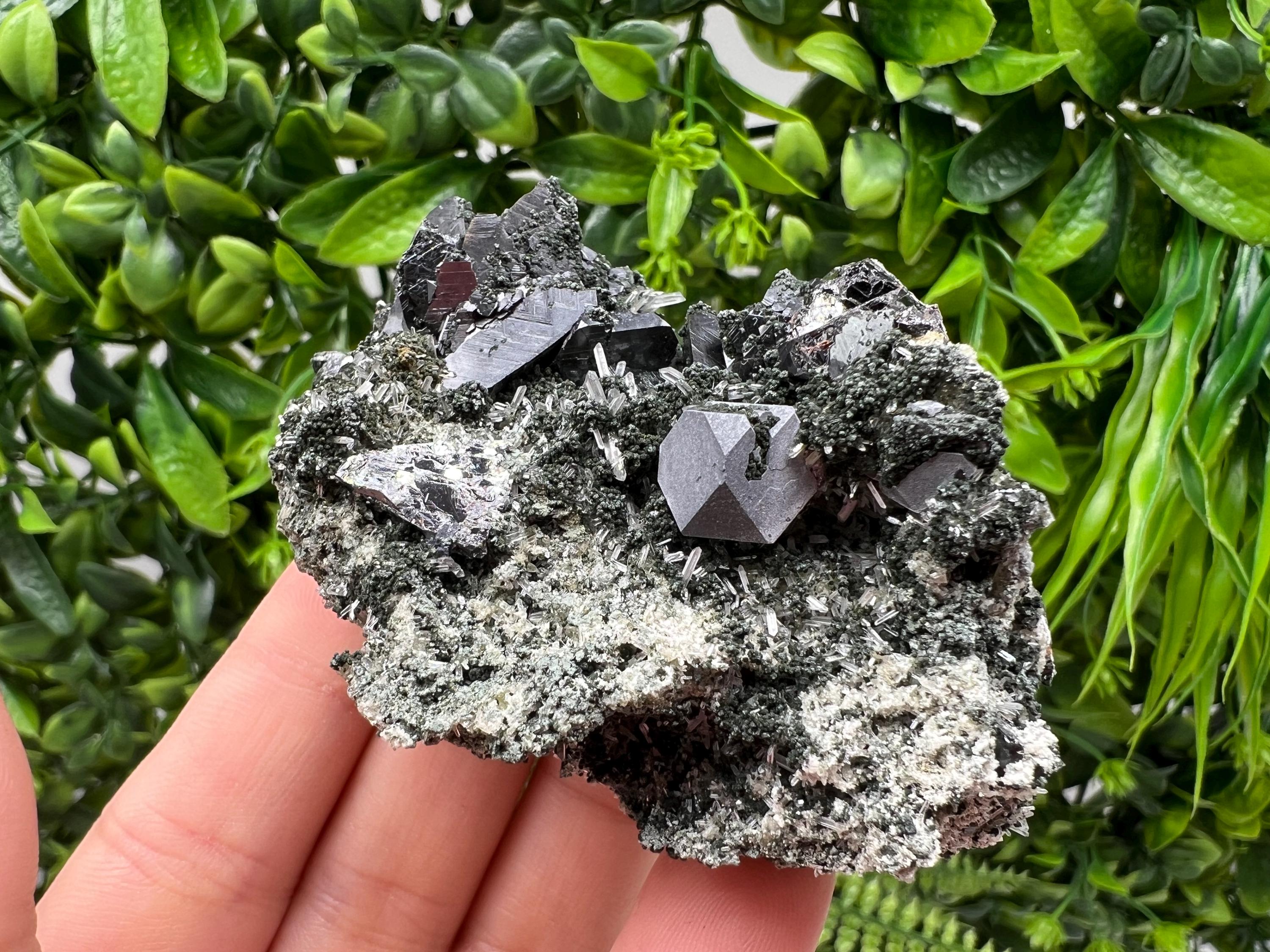 Sphalerite Galena Crystal: Chlorite Mineral Specimen, Bulgaria