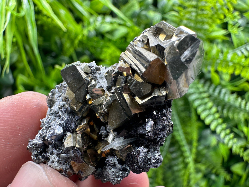 Pyrite Galena Sphalerite Quartz Mineral Specimen, Borieva Mine Bulgaria