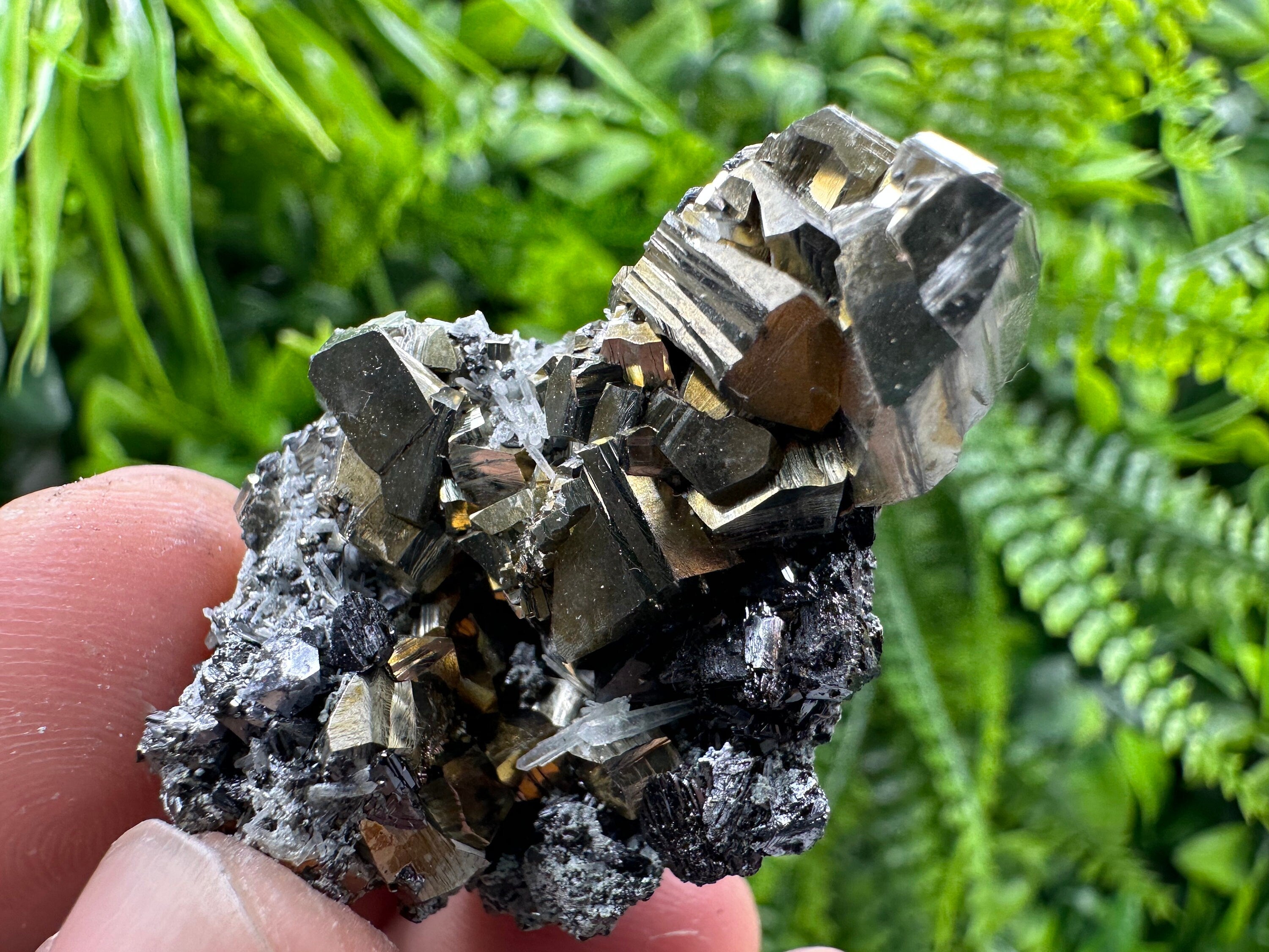 Pyrite Galena Sphalerite Quartz Mineral Specimen, Borieva Mine Bulgaria