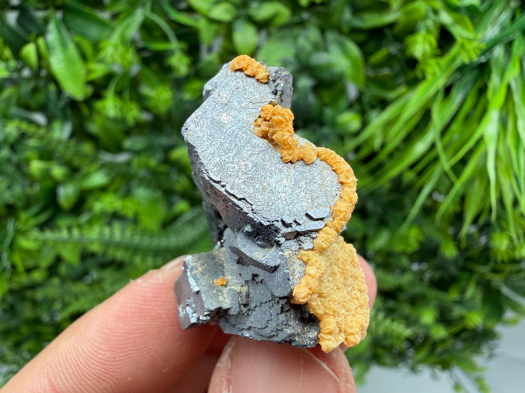 Skeletal Galena with Dolomite: Krushev Dol Mine, Bulgaria