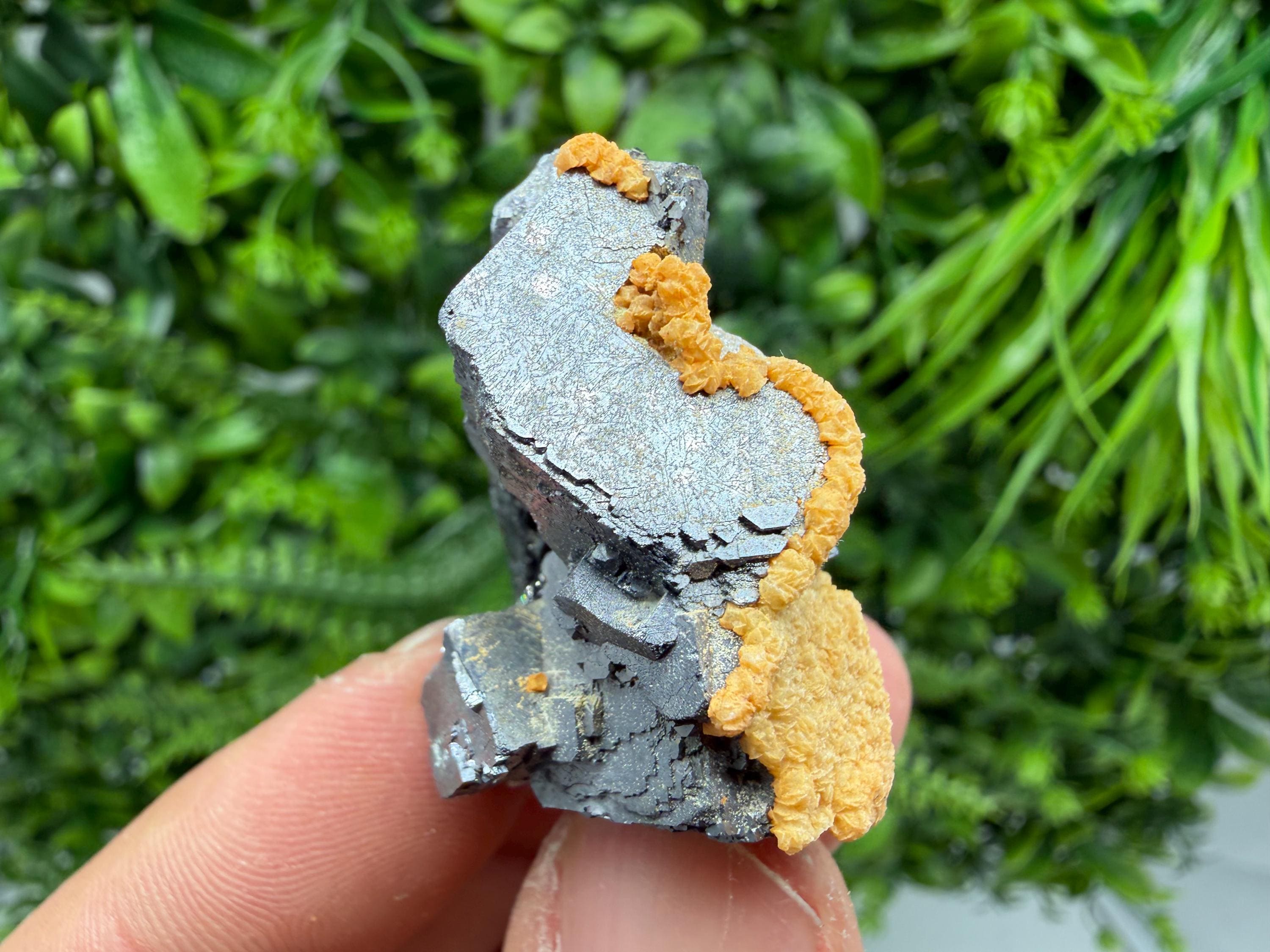 Skeletal Galena with Dolomite: Krushev Dol Mine, Bulgaria