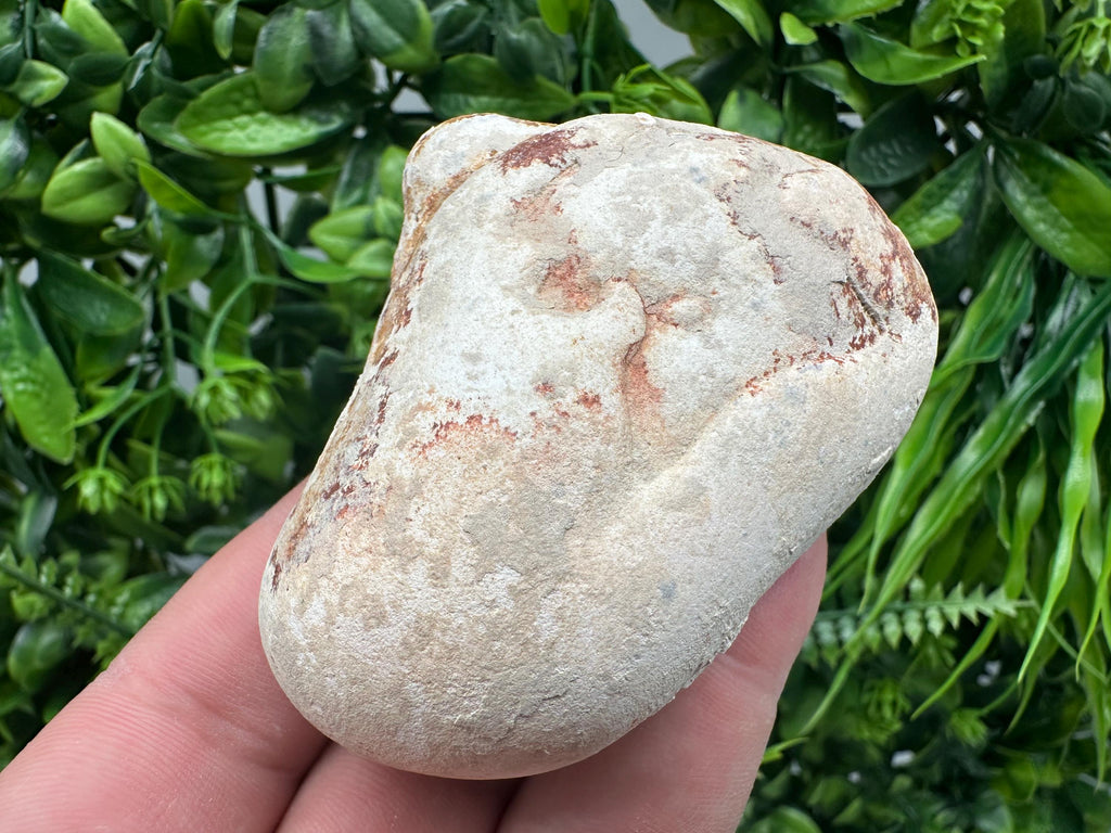Menalite Crystal: White Fairy Stone, Moroccan A+ Grade