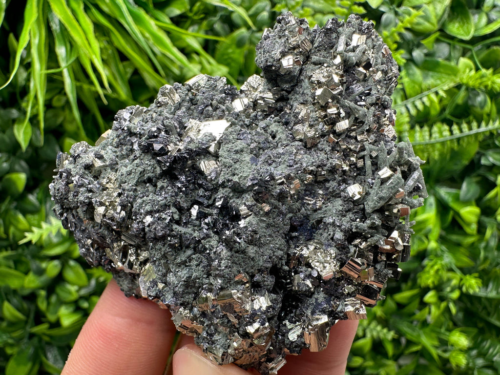 Pyrite Sphalerite on Quartz with Chlorite, Bulgaria Mineral Specimen