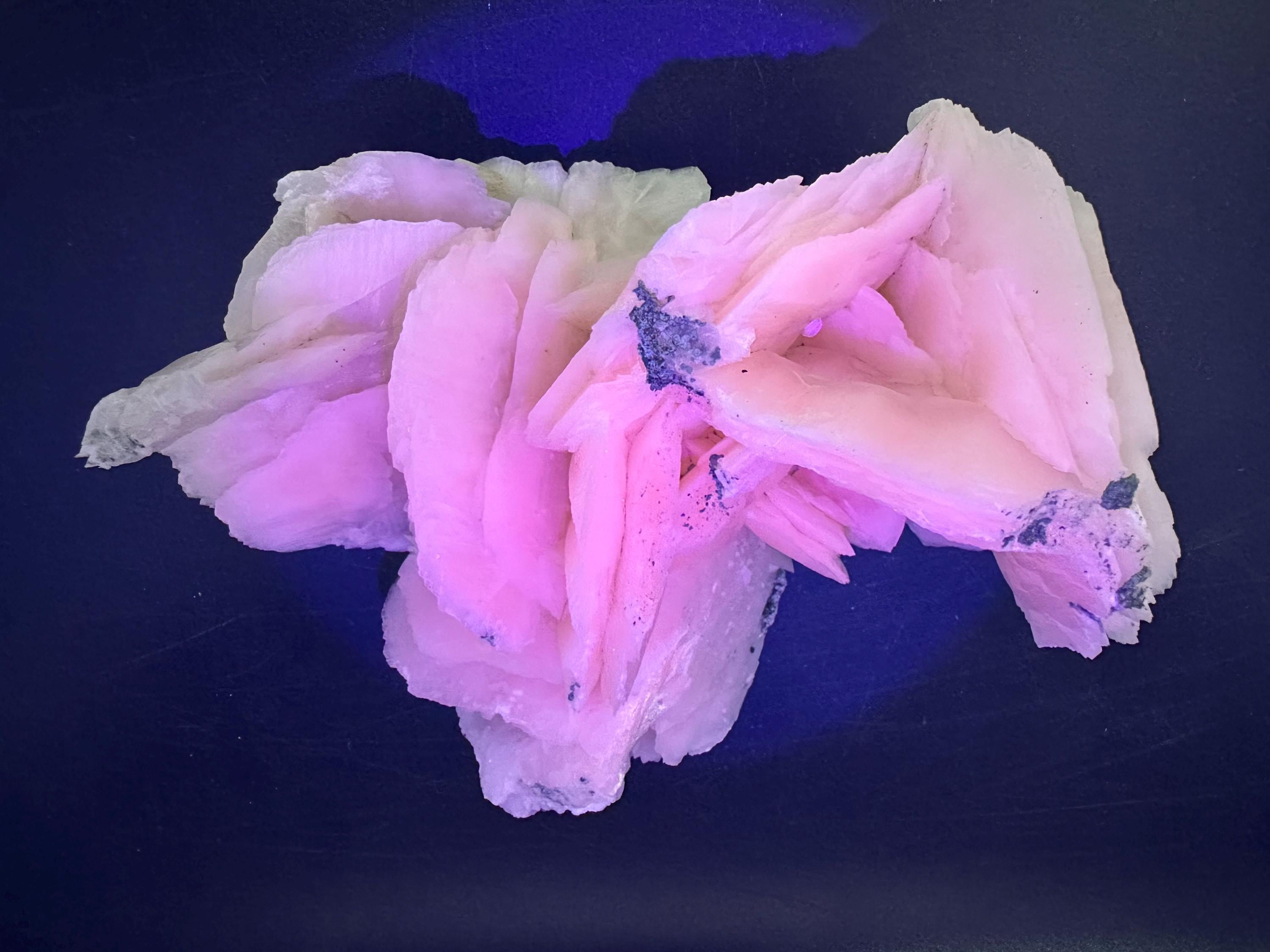 Mangano Calcite Wings on Chlorite Matrix, Bulgarian Mineral Specimen