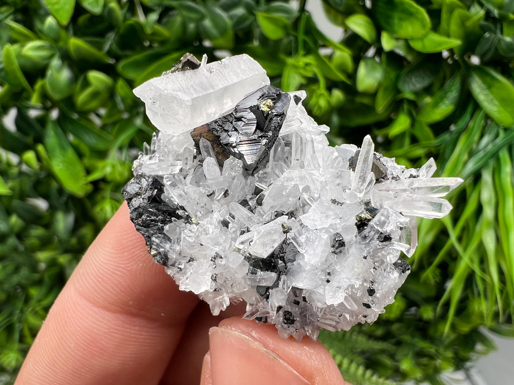 Wonderful Sphalerite Chalcopyrite on Green Quartz whit Hematite feom 9 th September mine,Bulgaria,natural,collection mineral specimen,gift