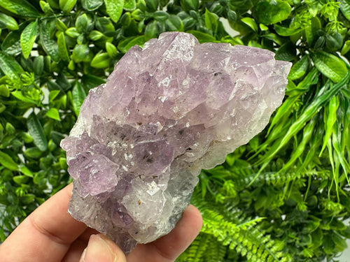 Brazilian Amethyst Cluster, Purple Quartz Crystal Specimen