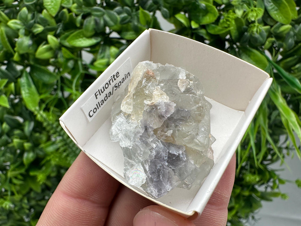 Green Raw Fluorite Cluster: Vintage Meditation Stone (4.5/3.5)